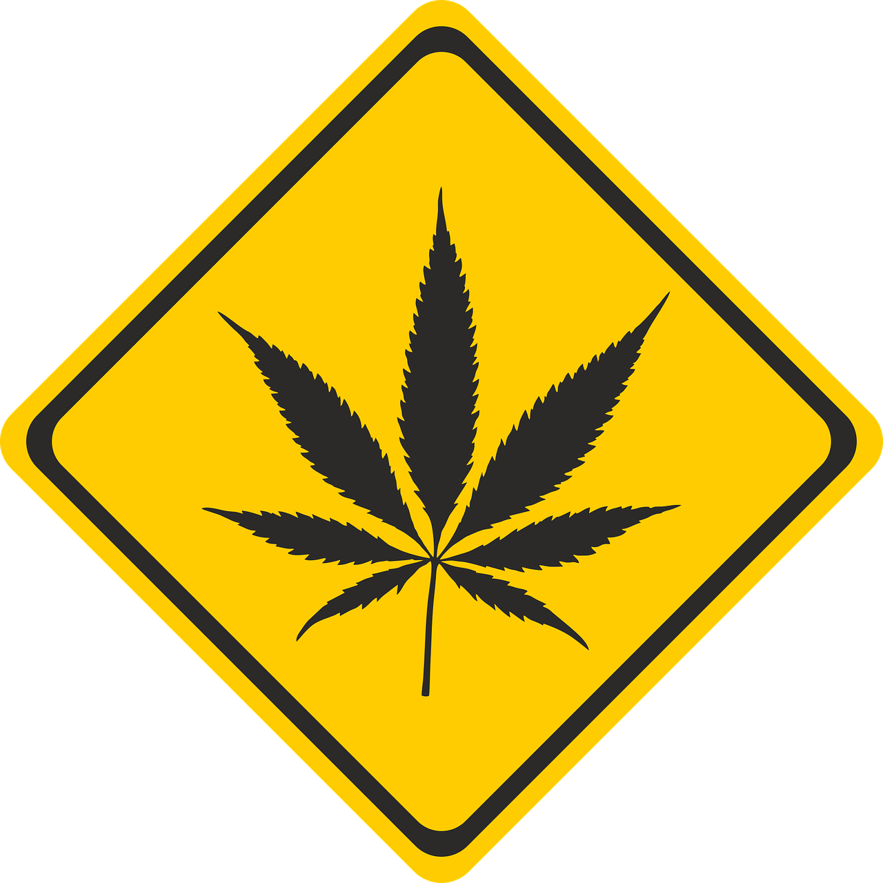 靶向药物的价格深度解析与未来前景展望