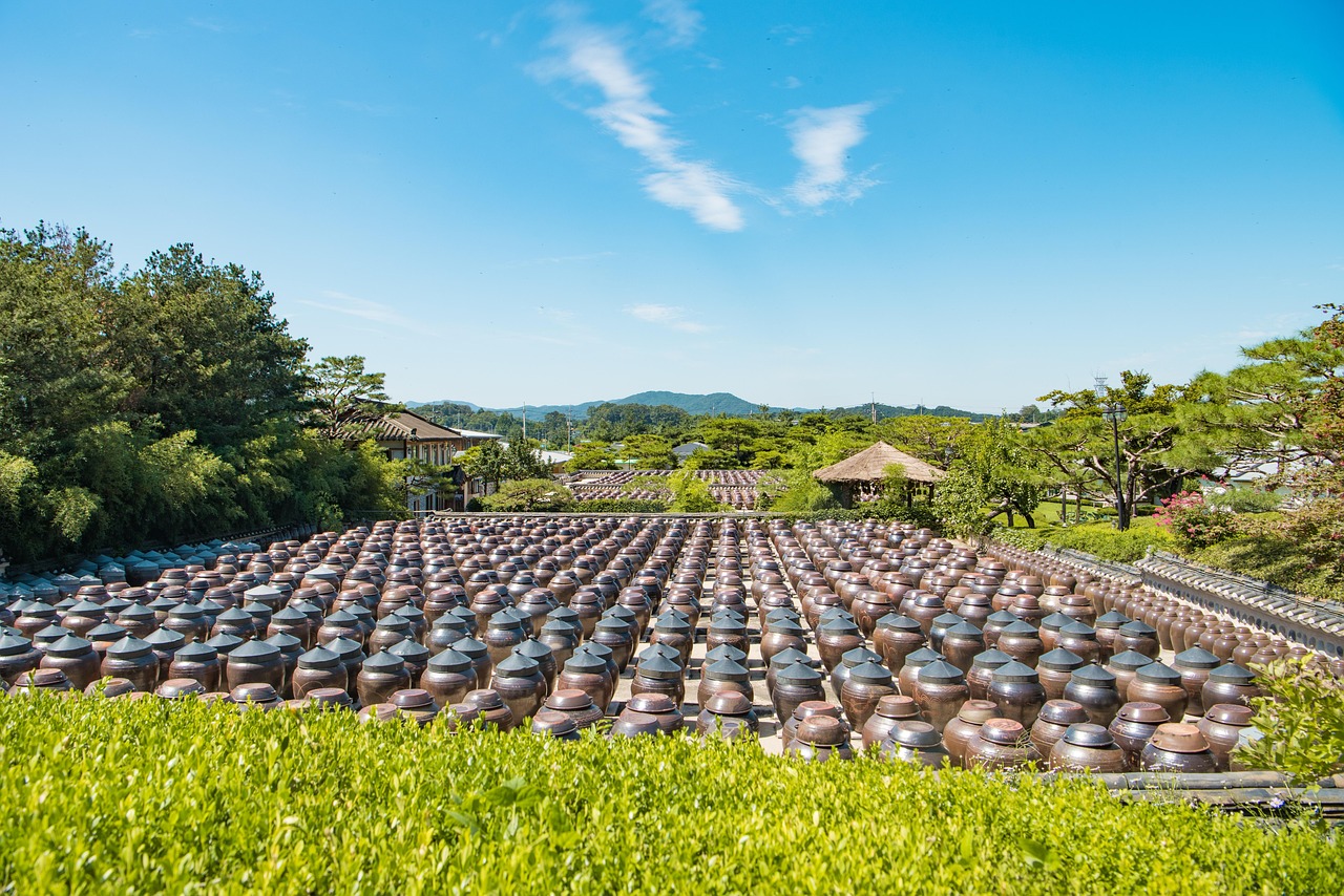 探索未来农业新希望，番茄新品种深度介绍