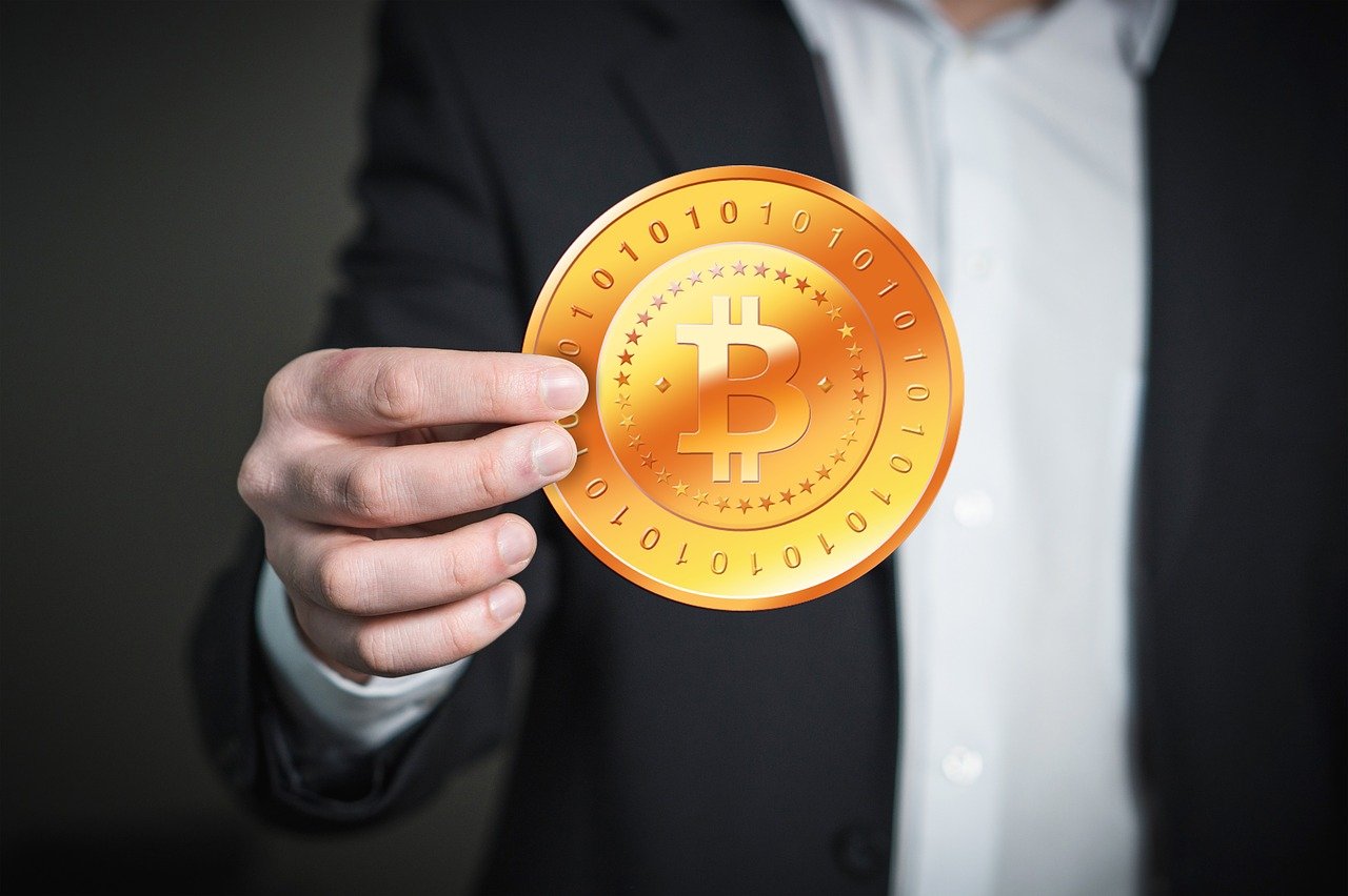 最新动态分析，4月棉籽价格走势及预测
